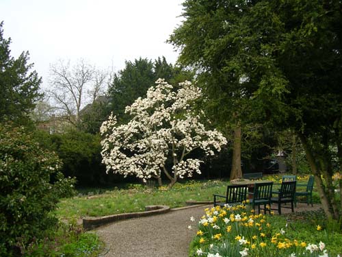 weinheim_hermannshof