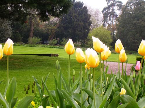 weinheim_hermannshof_03