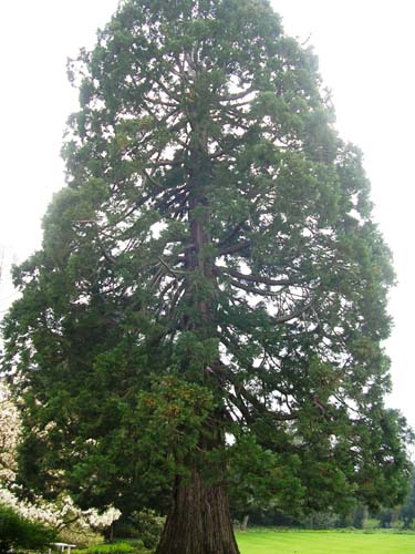 weinheim_hermannshof_04