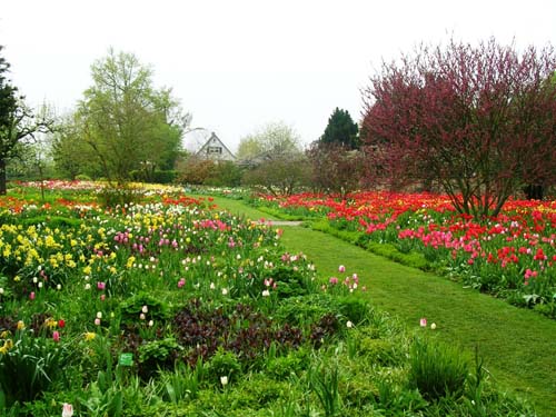 weinheim_hermannshof_06