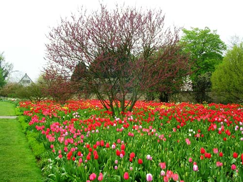 weinheim_hermannshof_07