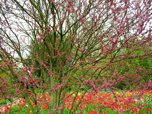 weinheim_hermannshof_08