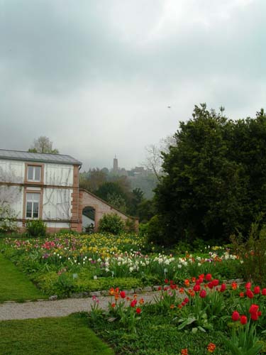 weinheim_hermannshof_12