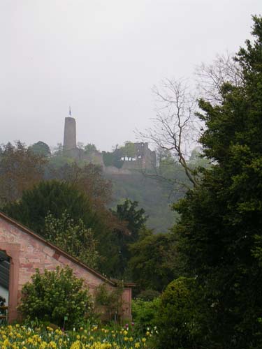 weinheim_hermannshof_13