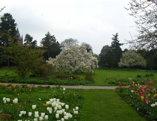 weinheim_hermannshof_14