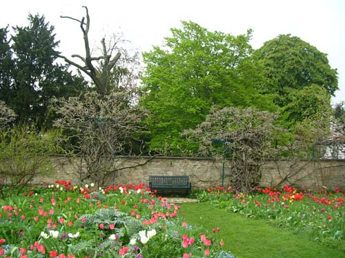 weinheim_hermannshof_15