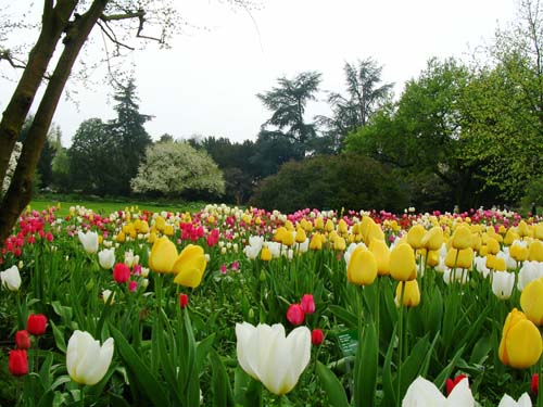 weinheim_hermannshof_16