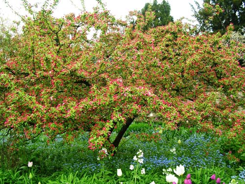 weinheim_hermannshof_18