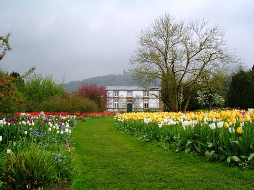 weinheim_hermannshof_19