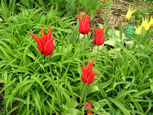 weinheim_hermannshof_21