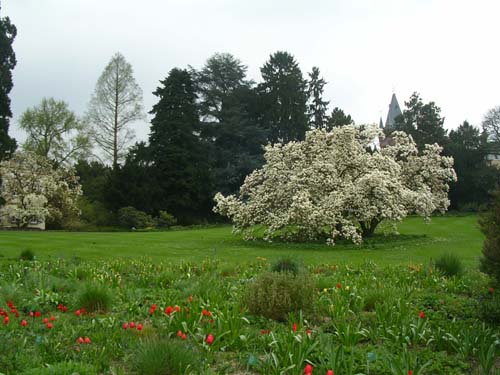 weinheim_hermannshof_23