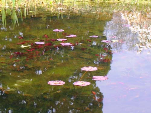 weinheim_hermannshof_26