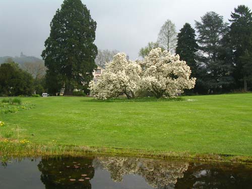 weinheim_hermannshof_27