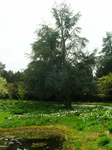 weinheim_hermannshof_31