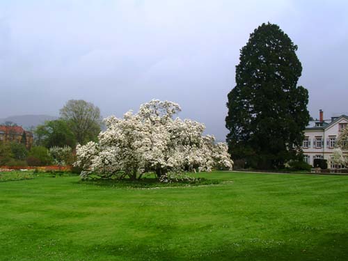 weinheim_hermannshof_33