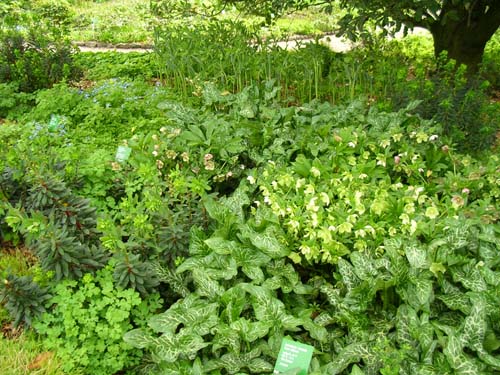 weinheim_hermannshof_34