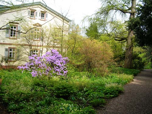 weinheim_hermannshof_36